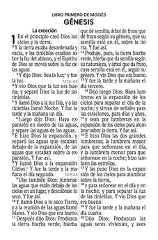 Image of Biblia RVR 1960 Compacta Letra Grande 11 puntos Símil Piel Gris Beige Marrón