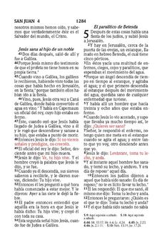 Image of Biblia RVR 1960 Compacta para Niños Animales Vinilo con Cierre