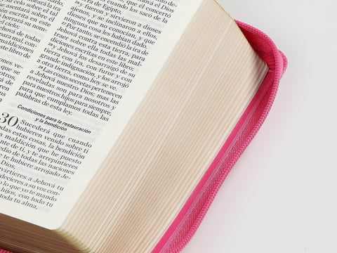 Image of Biblia RVR 1960 Letra Grande Compacta 11 Puntos Símil Piel Fucsia Cierre