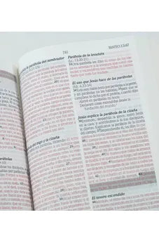 Image of Biblia RVR 1960 Promesas Rústica Vino