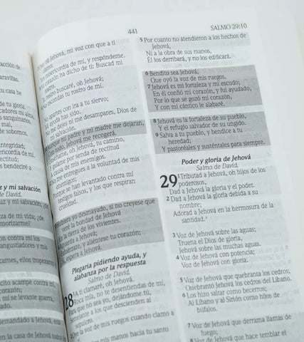 Image of Biblia RVR 1960 Promesas Rústica Vino