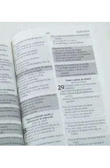 Image of Biblia RVR 1960 Promesas Rústica Vino
