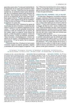 Image of Biblia NBLA de Estudio MacArthur Piel Café Interior a Dos Colores