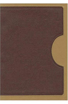 Biblia RVR 1960 de Estudio Vida Plena dos Tonos Italiana Tapa Dura