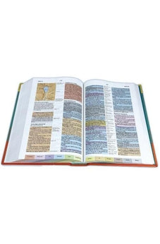 Image of Biblia RVR 1960 de Estudio Arco Iris Multicolor Tapa Dura