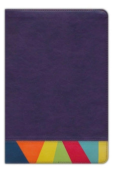 Image of Biblia RVR 1960 de Estudio Arco Iris Símil Piel Morado Multicolor