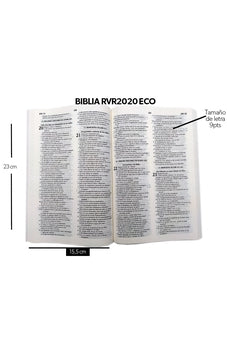 Image of Biblia RVR 2020 Económica Corazón