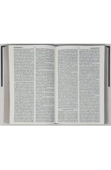 Image of Biblia RVR 1960 Letra Grande Tamaño Manual Tapa Flex Espada