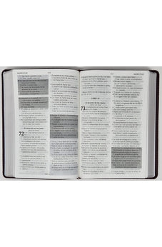 Image of Biblia RVR 1960 de Promesas Letra Gigante Marrón Líneas Símil Piel