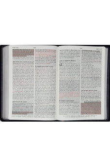 Image of Biblia RVR 1960 de Promesas Letra Gigante Negro Naranja Verde Símil Piel con Cierre