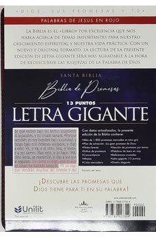 Image of Biblia RVR 1960 de Promesas Letra Gigante Marrón Líneas Símil Piel