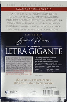 Image of Biblia RVR 1960 de Promesas Letra Gigante Azul Triángulos Símil Piel con Índice y Cierre