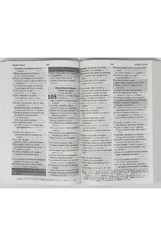 Image of Biblia RVR 1960 de Promesas Letra Gigante Azul Rústica