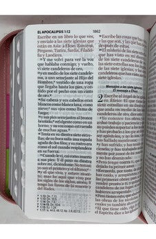 Image of Biblia RVR 1960 Letra Grande Compacta 11 puntos Tricolor Rosa Lima Fucsia Símil Piel con Índice con Cierre