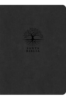 Biblia RVR 1960 de Estudio del Diario Vivir Letra Grande Símil Piel Carbón Índice Letra Roja