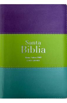 Biblia RVR 1960 Compacta Letra Grande 11 puntos Símil Piel Lila Verde Aguamarina con Cierre y Índice