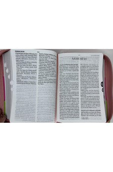 Image of Biblia RVR 1960 Letra Grande Compacta 11 puntos Tricolor Rosa Lima Fucsia Símil Piel con Índice con Cierre