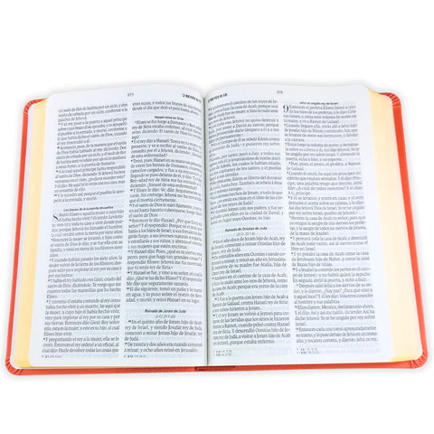 Image of Biblia RVR 1960 Tamaño Manual Letra Grande 12 pt SÍmil Piel Lila Morado con Cierre Bitono
