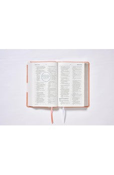 Image of Biblia NBLA de Estudio para Jóvenes Durazno Símil Piel