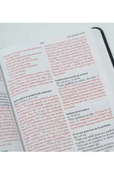 Image of Biblia RVR 1960 León de Juda Tamaño Manual Tapa Dura