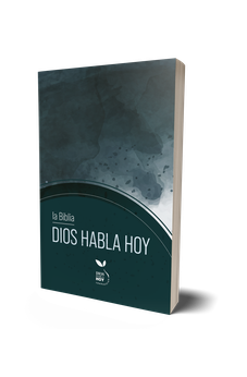 Biblia DHH Dios Habla Hoy Ultrafina Gris Símil Piel
