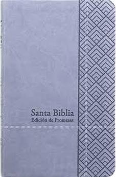 Biblia RVR 1960 Letra Grande Tamaño Manual Gris Símil Piel
