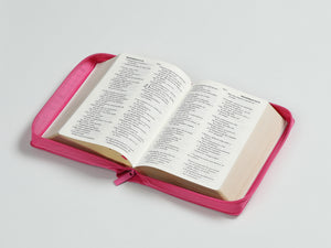 Biblia RVR 1960 Letra Grande Compacta 11 Puntos Símil Piel Fucsia Cierre