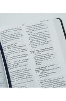 Biblia RVR 1960 León de Juda Tamaño Manual Tapa Dura