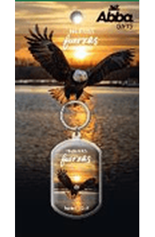 Llavero Nuevas Fuerzas