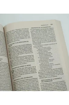 Biblia NBLA Letra Grande Edición Económica