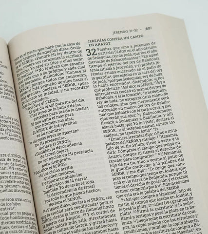 Image of Biblia NBLA Letra Grande Edición Económica