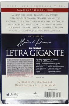 Image of Biblia RVR 1960 de Promesas Letra Gigante Azul Triángulos Símil Piel con Cierre