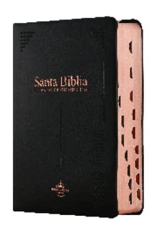 Biblia RVR 1960 Letra Grande 11 Puntos Compacta Vinilo Negro con Índice