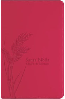 Biblia RVR 1960 Promesas Letra Grande Tamaño Manual Rosada