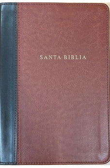 Image of Biblia RVR 1960 Letra Grande Manual Tierra Santa Negro Caoba
