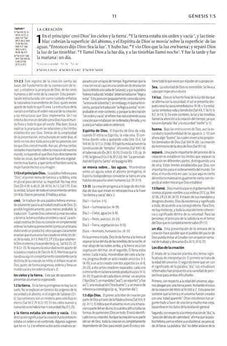Image of Biblia LBLA de Estudio de la Reforma Gris Claro Símil Piel