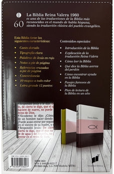 Image of Biblia RVR 1960 Letra Grande Tamaño Manual Tricolor Rosa Blanco Marrón