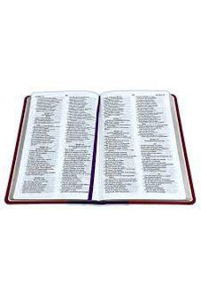 Image of Biblia RVR 2020 Lila Rojo