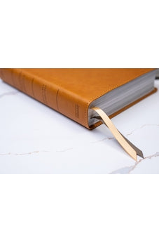 Image of Biblia RVR 1960 Ilustrada de la Tierra Santa Marrón Símil Piel con Índice